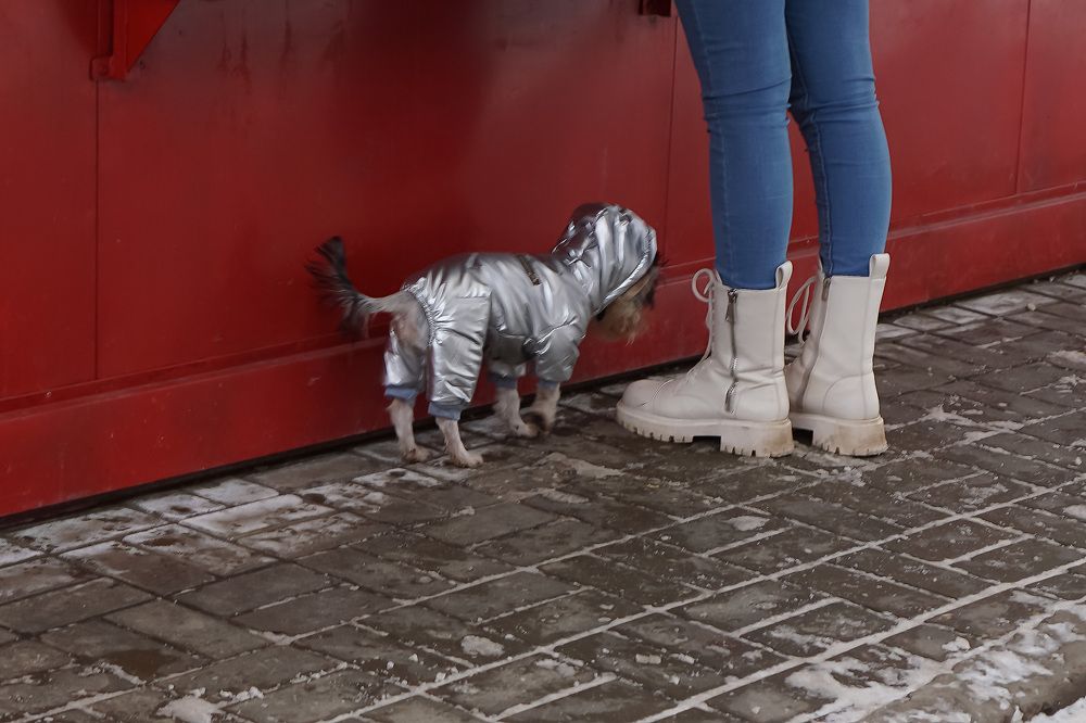 Photograph by Елена Никонова