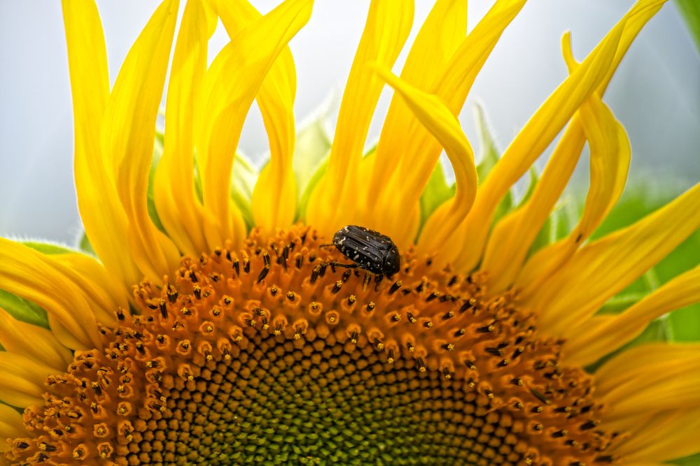 Photograph by Aleksei Degtjarjov