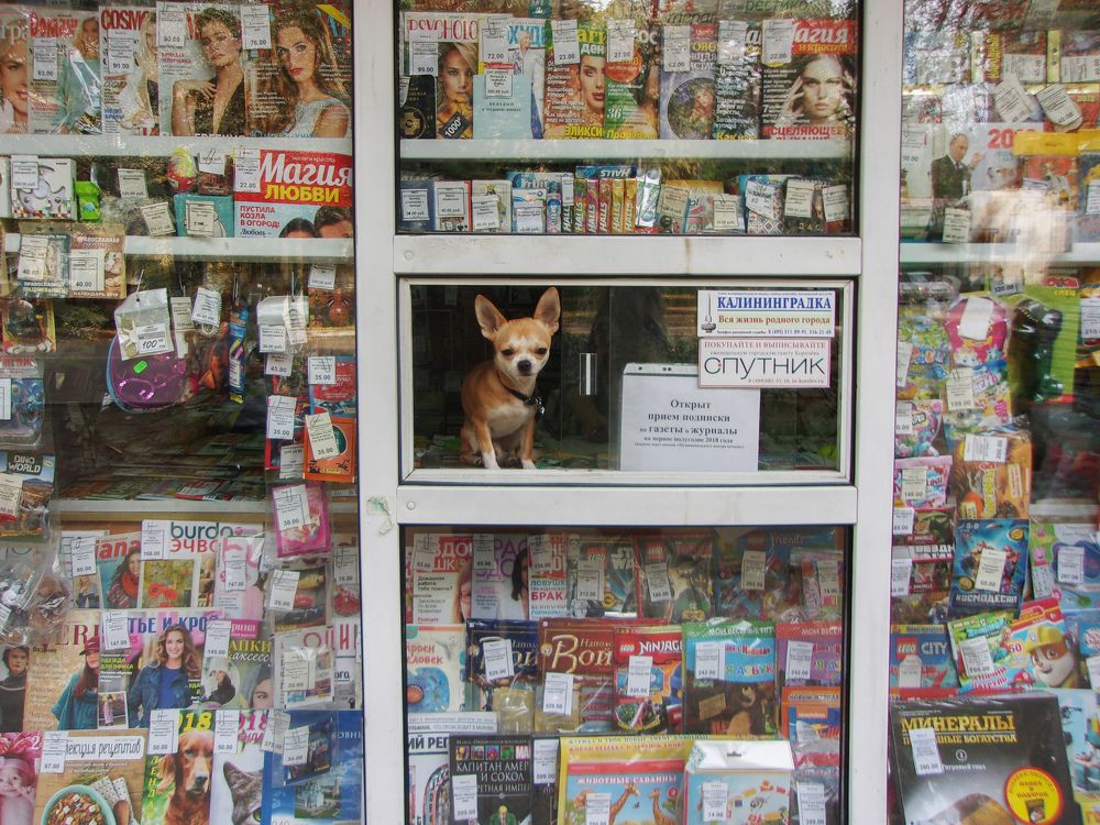 Photograph by Елена Никонова