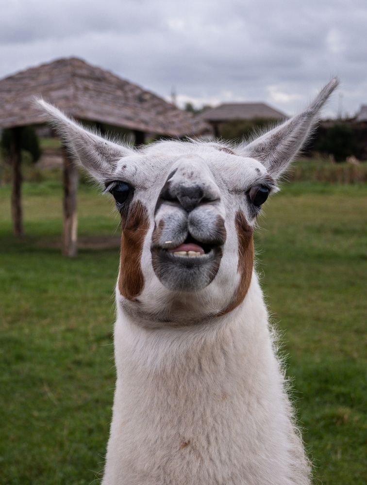 Photograph by Алексей Крукович