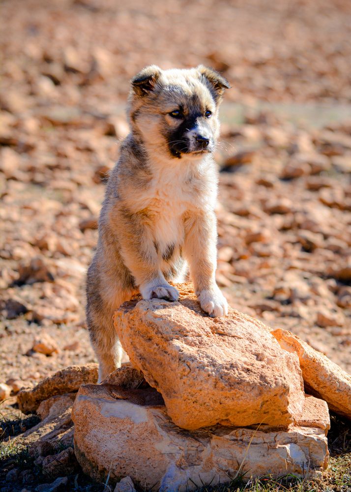 Photograph by Bachir Rabouh