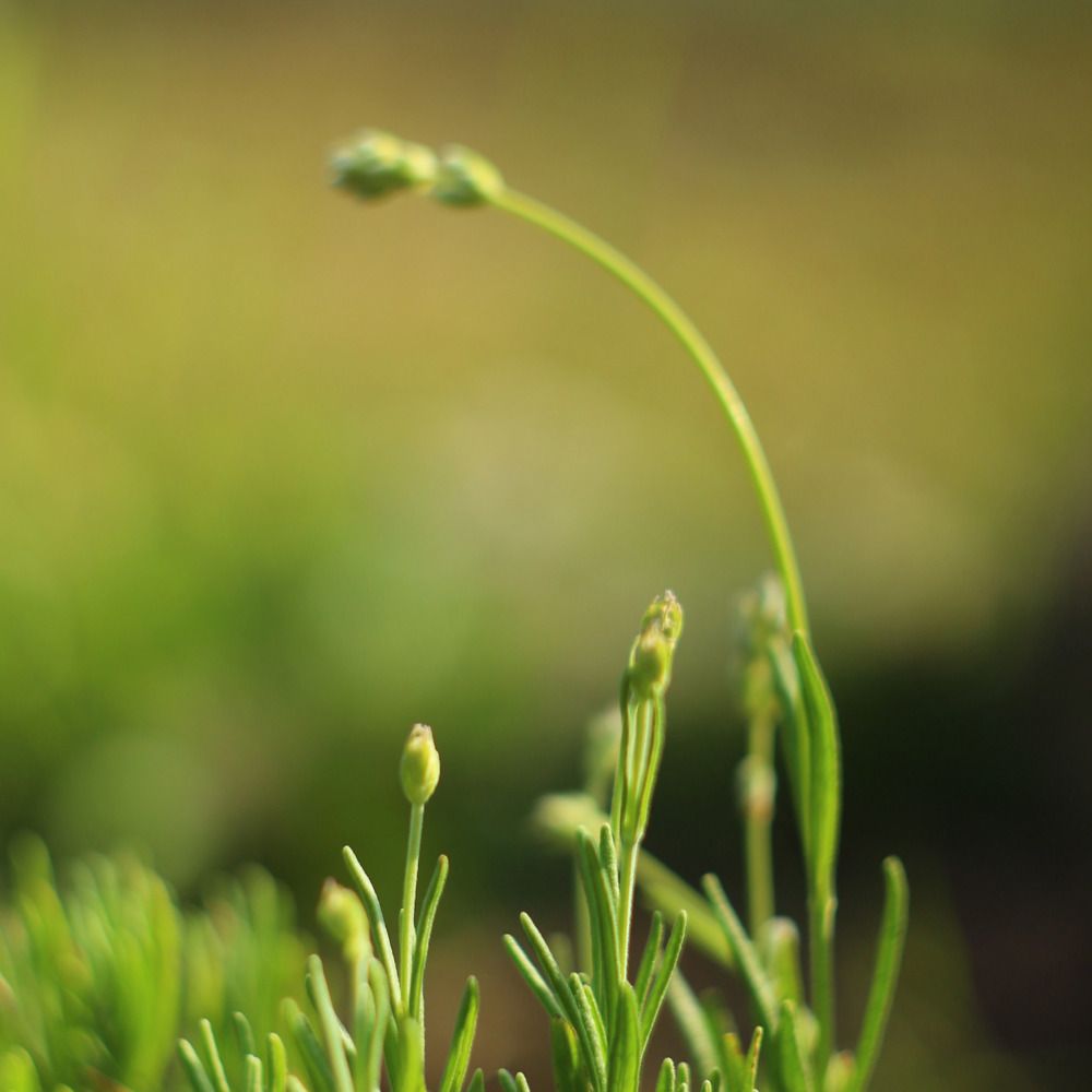 Фотография автора Галина Спирина