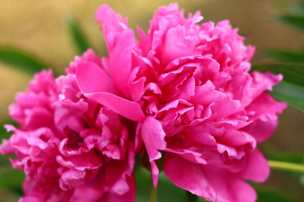 Фотография автора Галина Спирина