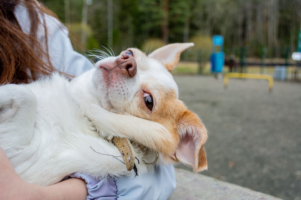 Photograph by Глеб Обуховский