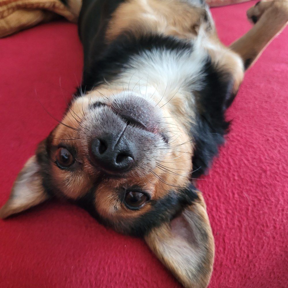 Photograph by Catherine