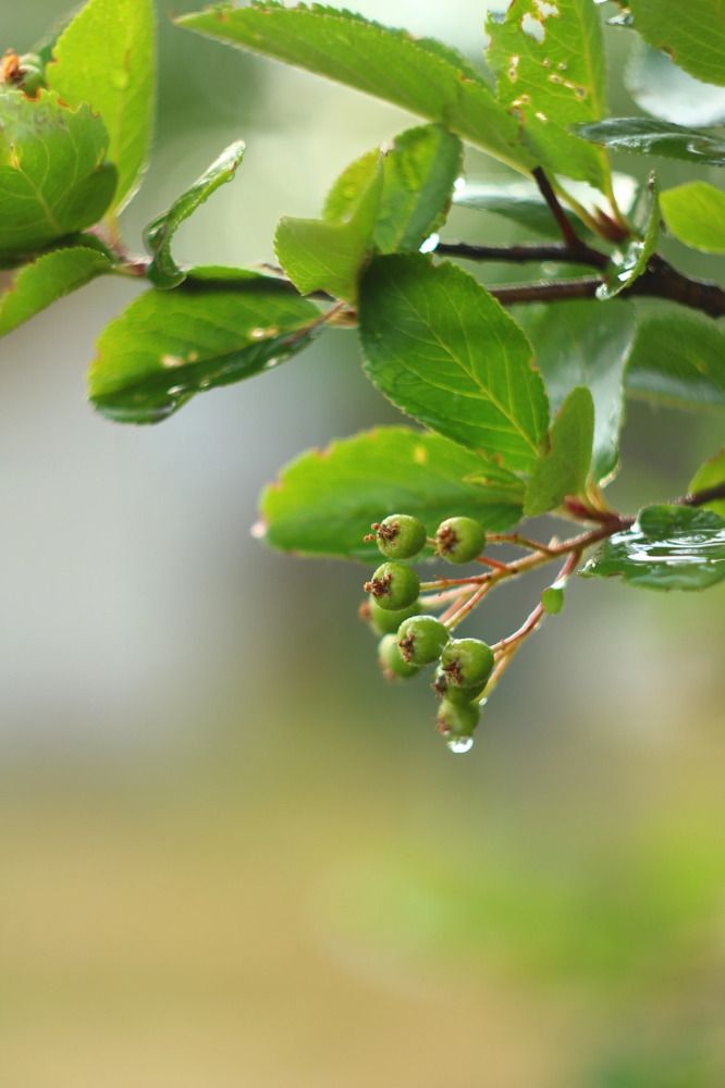 Фотография автора Галина Спирина