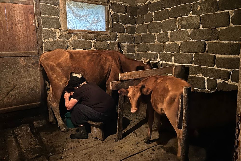 Photograph by Наталья