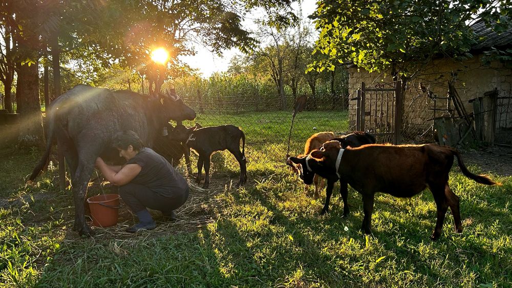 Photograph by Наталья