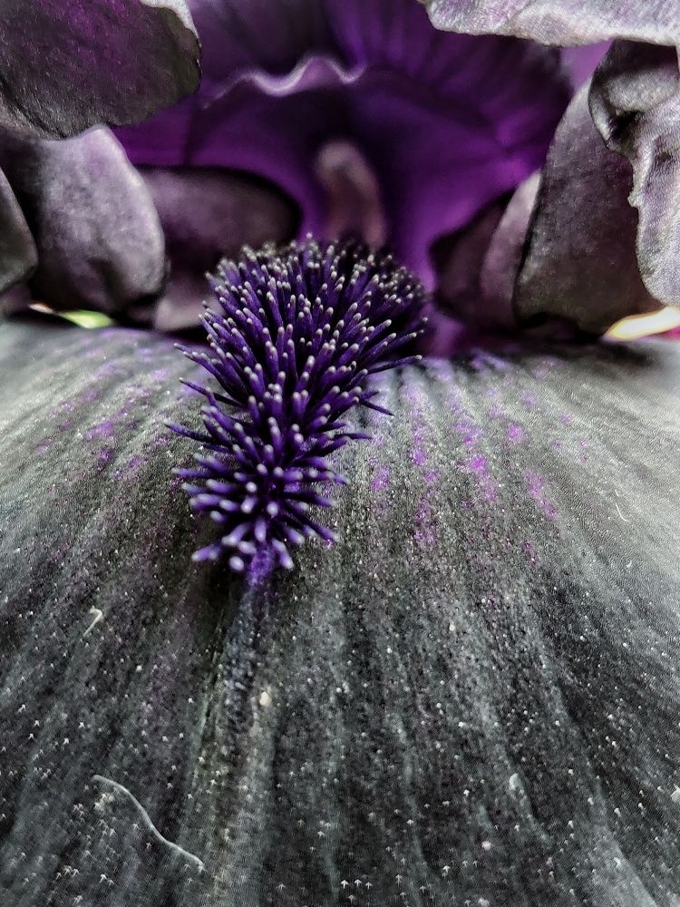 Photograph by Наталья Корнеева