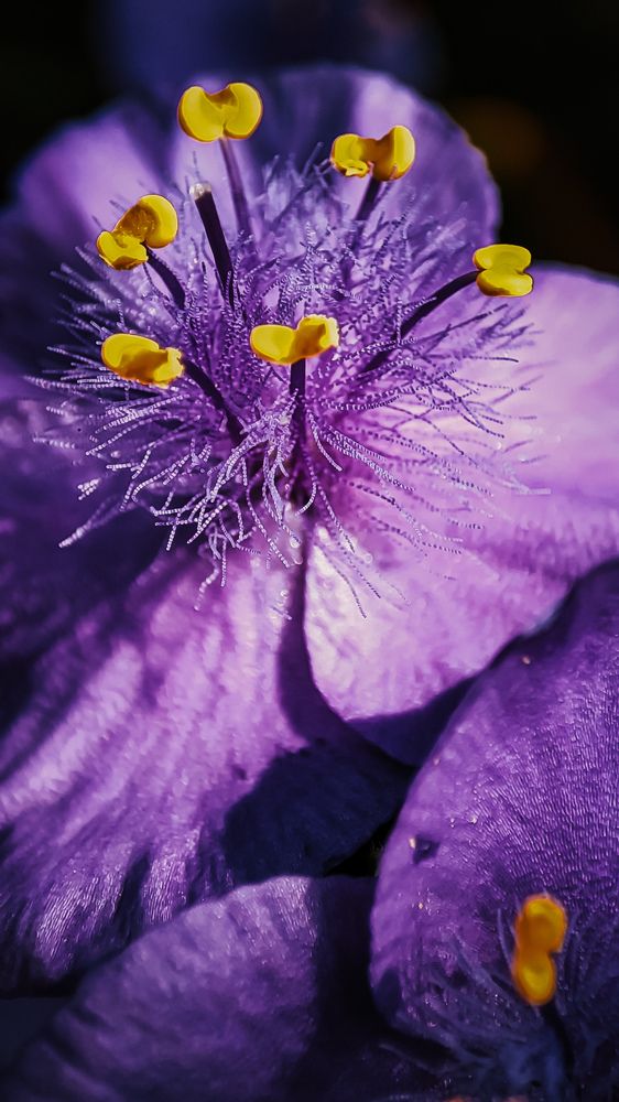 Photograph by Юлия