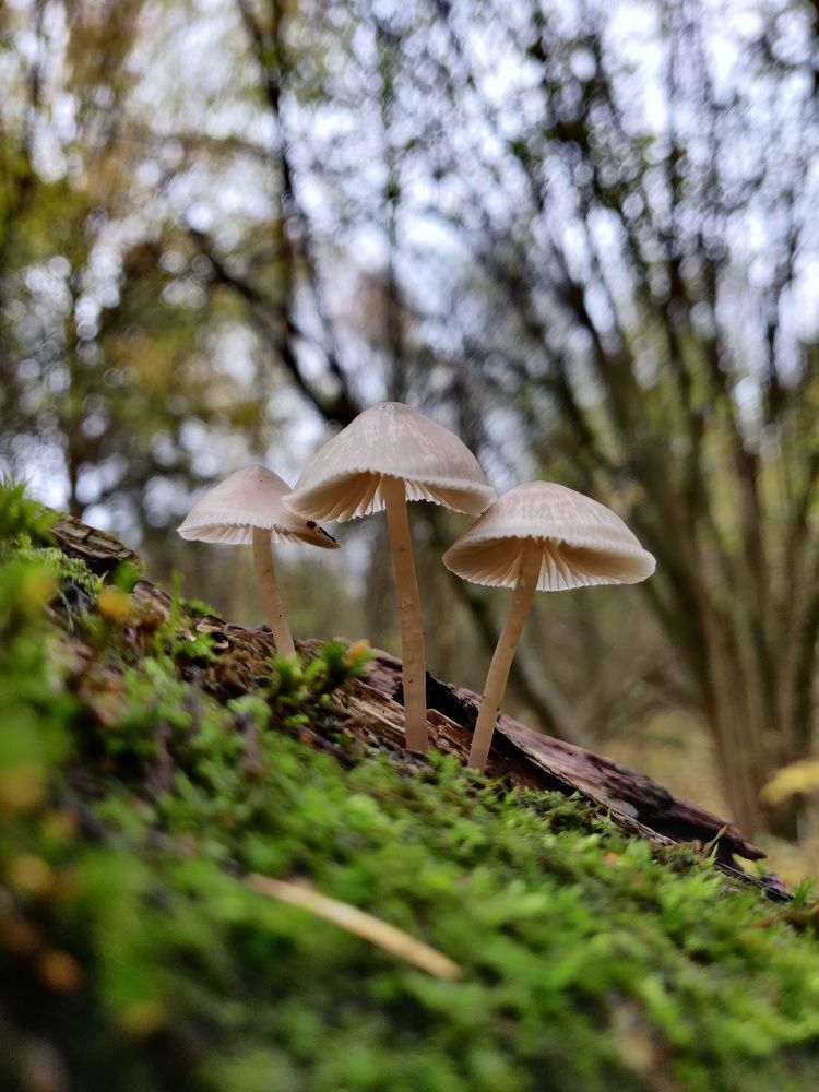 Photograph by Наталья Корнеева