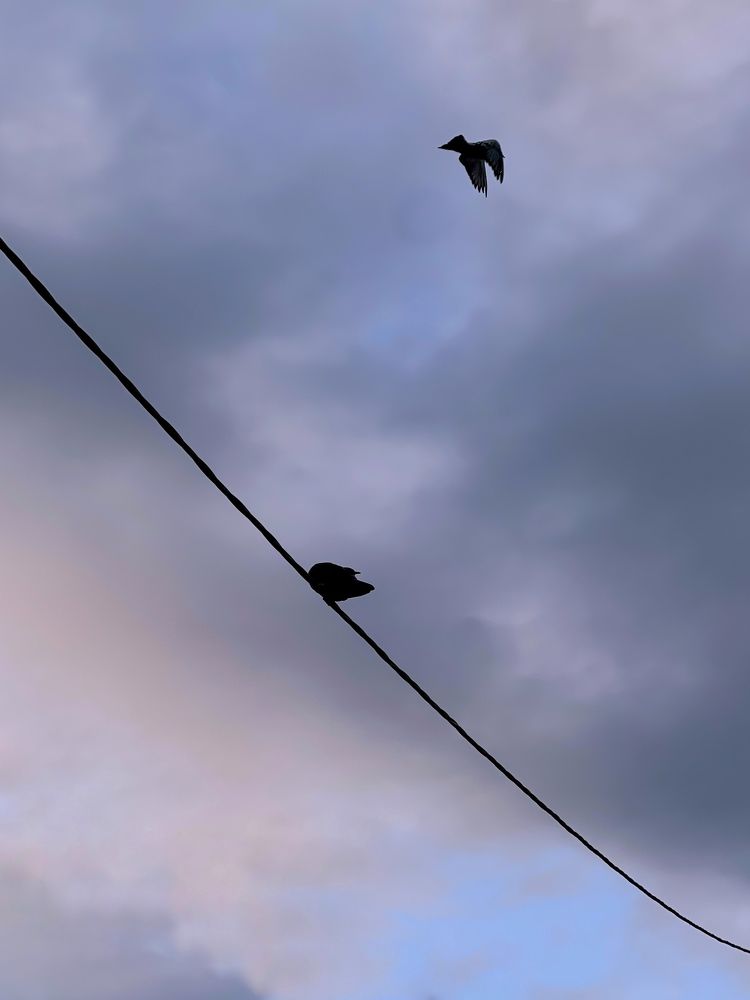 Photograph by Олена Уманцева