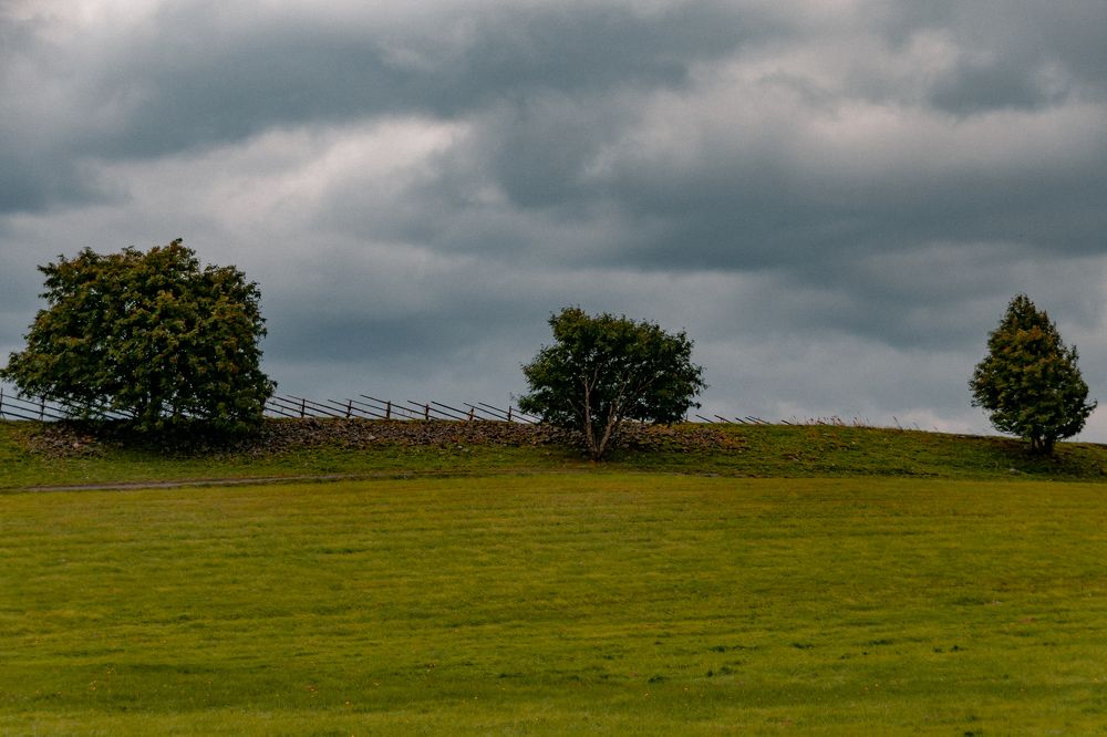 Photograph by Елена Ефимова