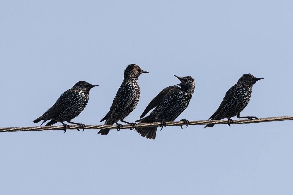 Photograph by Настя Рыж