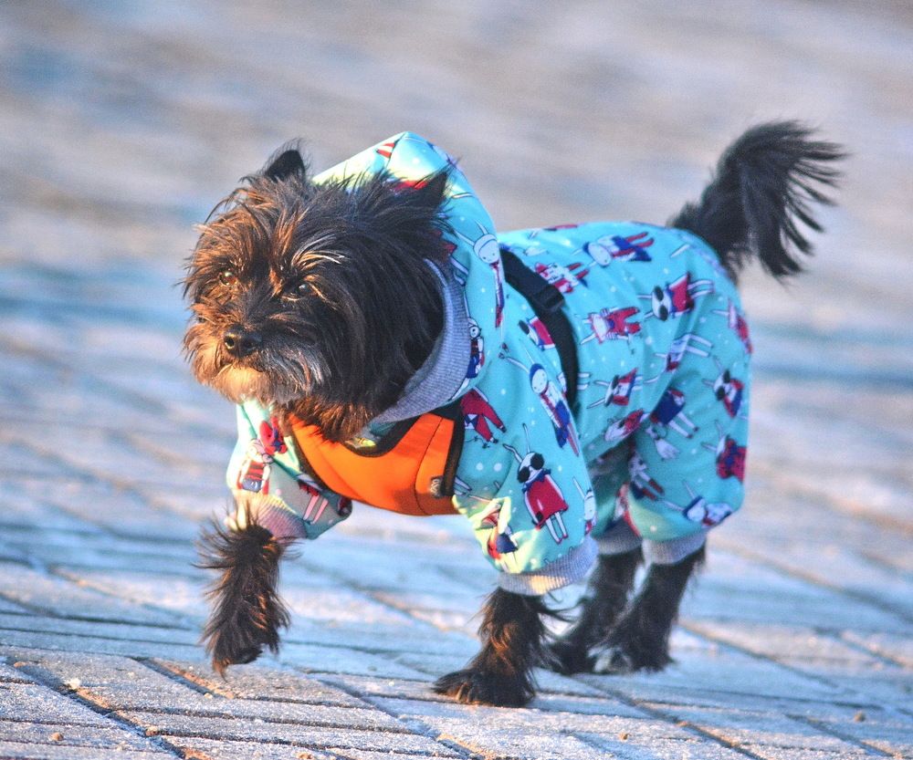 Photograph by Юрий Назыров