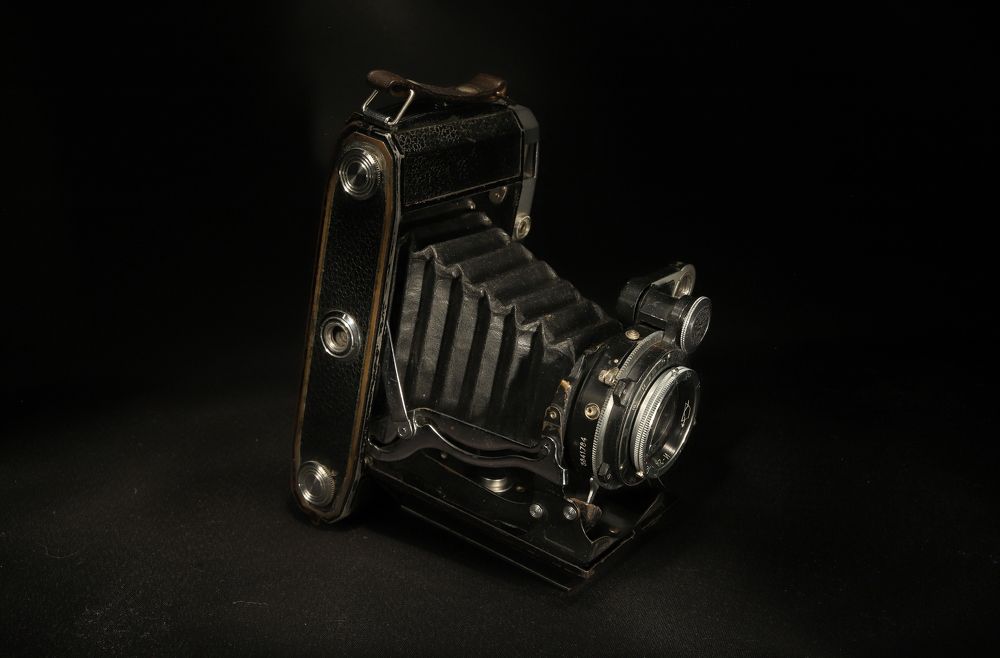 Photograph by елена