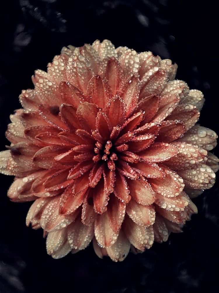 Photograph by Юлия