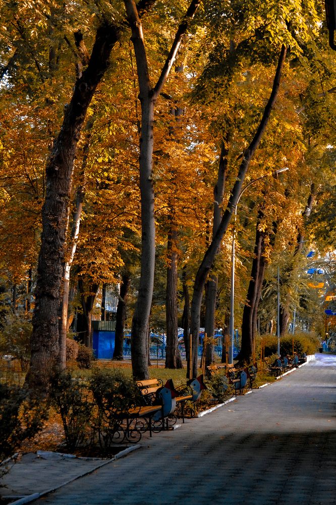 Фотография автора лада