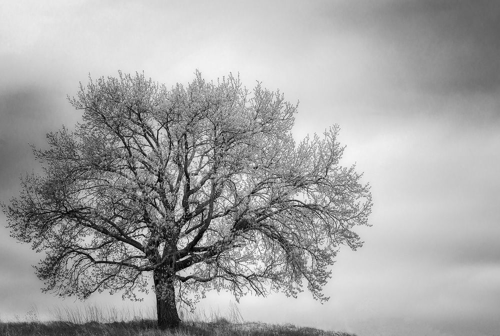 Photograph by Владислав Никишин