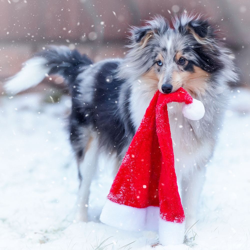 Photograph by Anna Sindikayeva