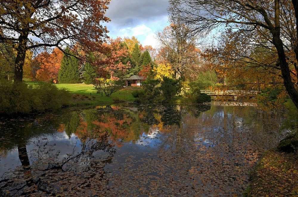 Осенние краски в японском саду