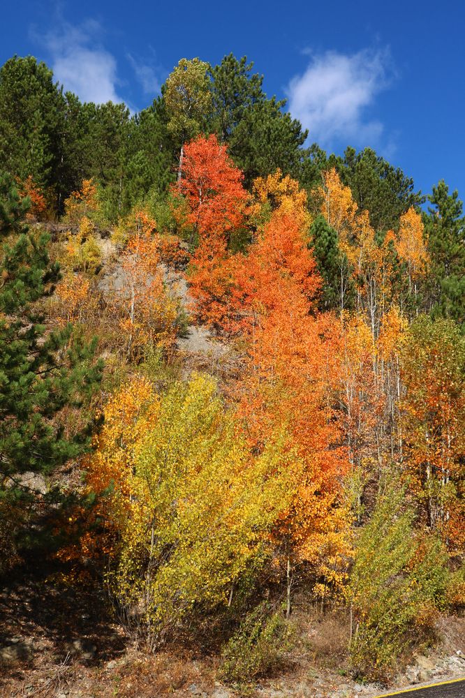 Photograph by Cengiz Yalcin