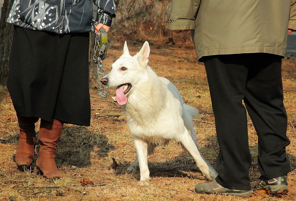 Photograph by Светлана