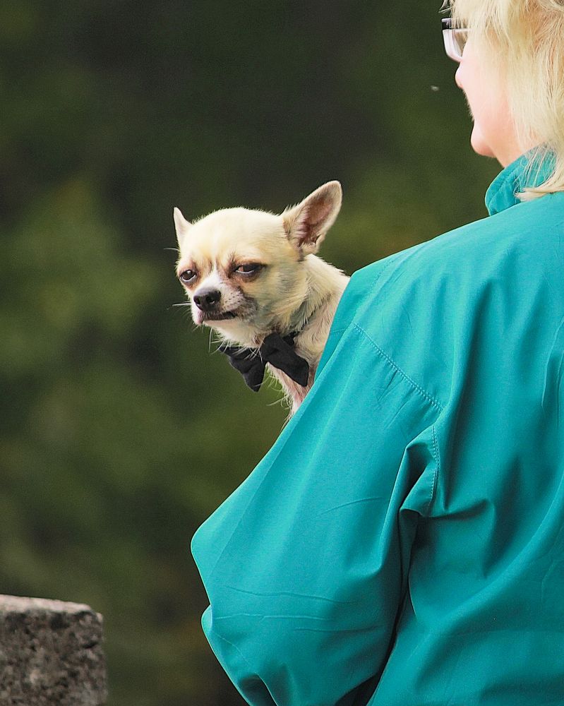 Photograph by Светлана