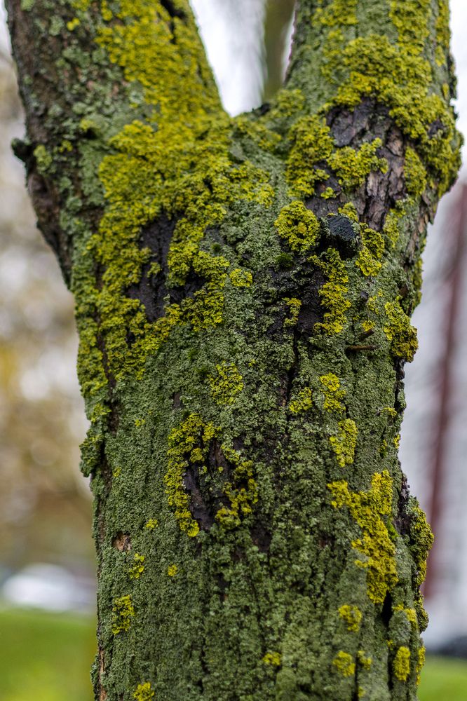 Photograph by Игорь Грашин