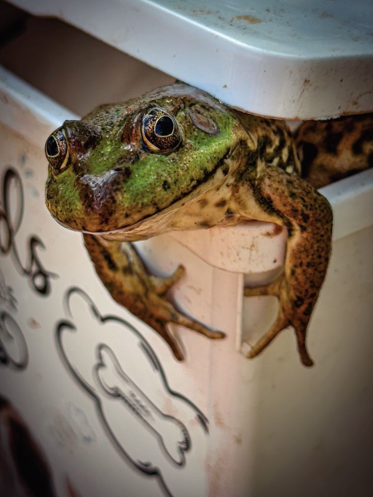 Photograph by Evgenia Privalova