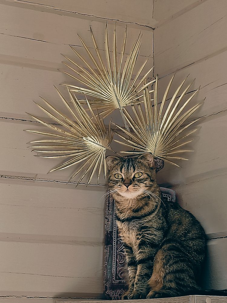 Photograph by Елена Шуть