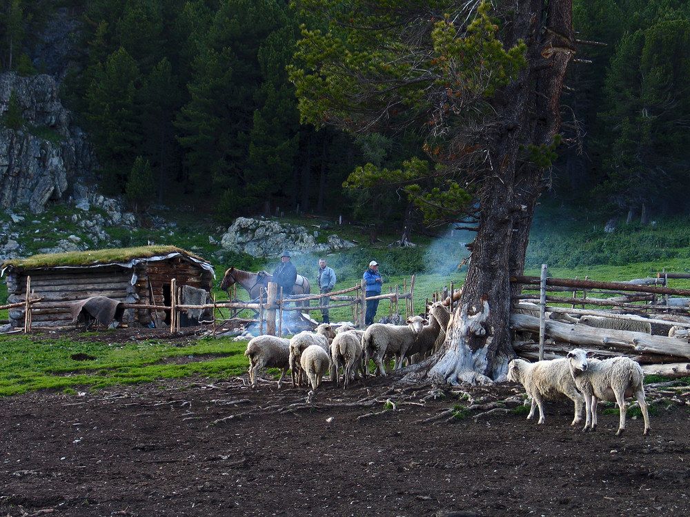 Photograph by Дмитрий Ткаченко