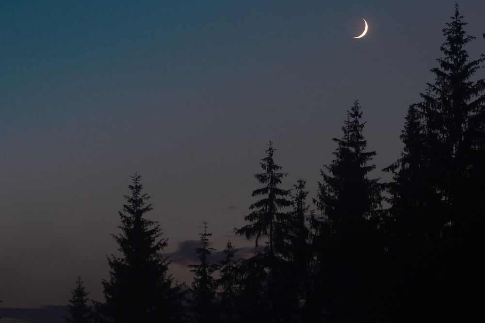 Photograph by Светлана Зайкова