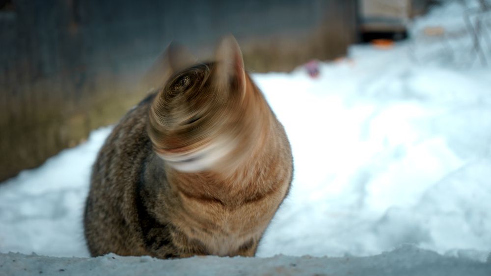 Photograph by Александр Соловьев