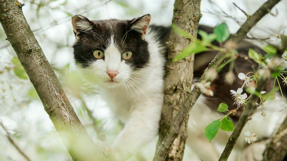 Photograph by Александр Соловьев