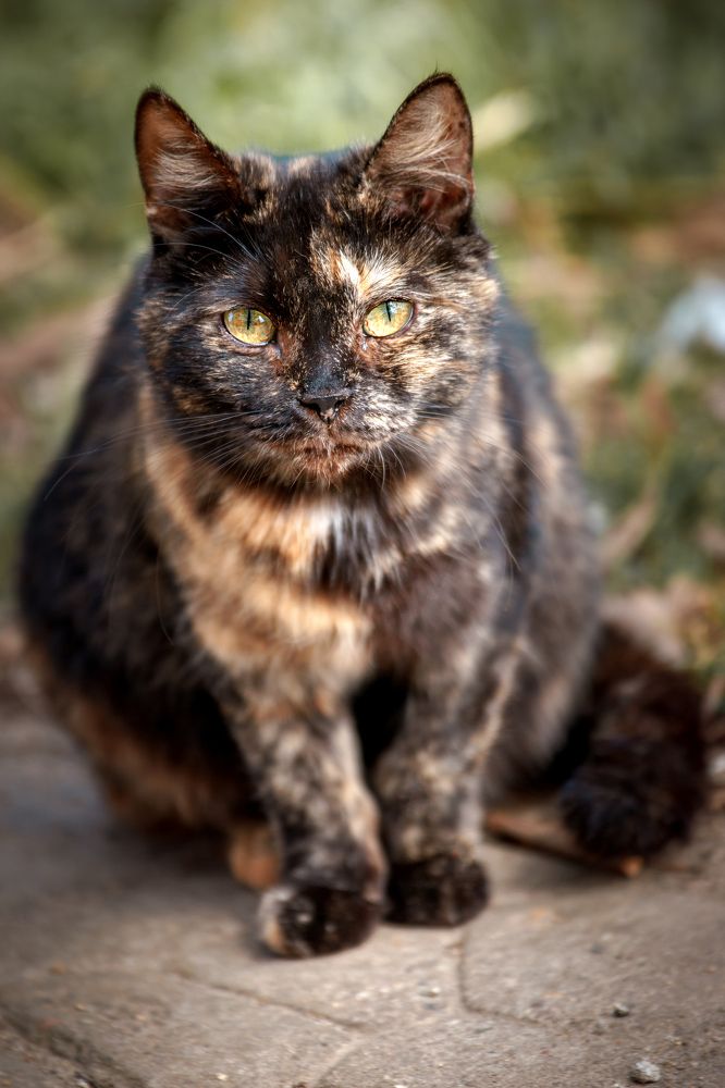 Photograph by Александр Соловьев