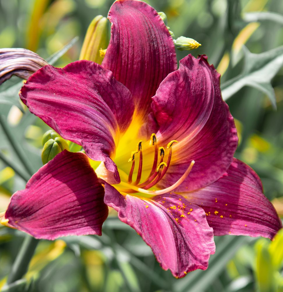 Photograph by Vitalii Kaznin