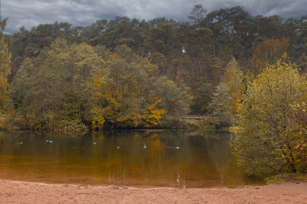 Photograph by Анна Авилочкина