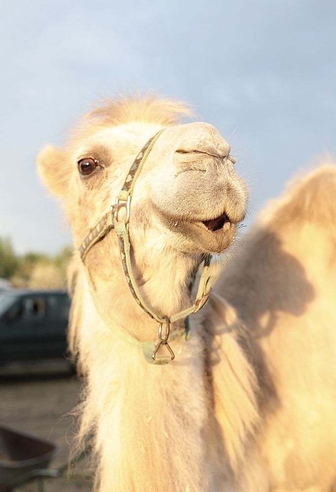 Photograph by Наталья Гусева