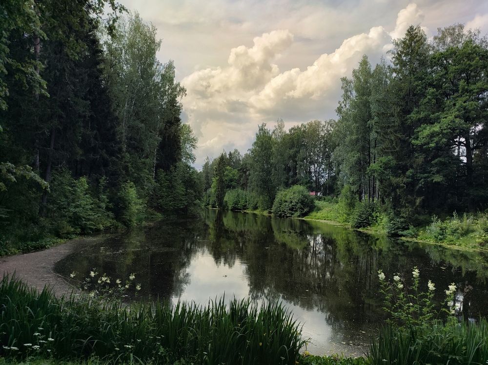 Фотография автора Мария Филиппова