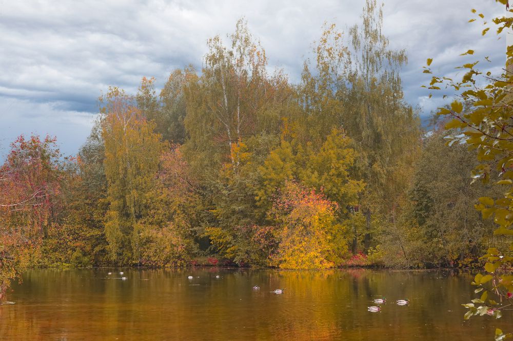 Photograph by Анна Авилочкина