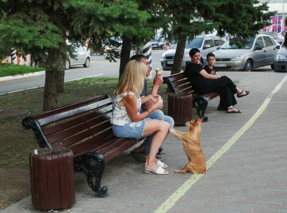 Photograph by Алла Никушкина