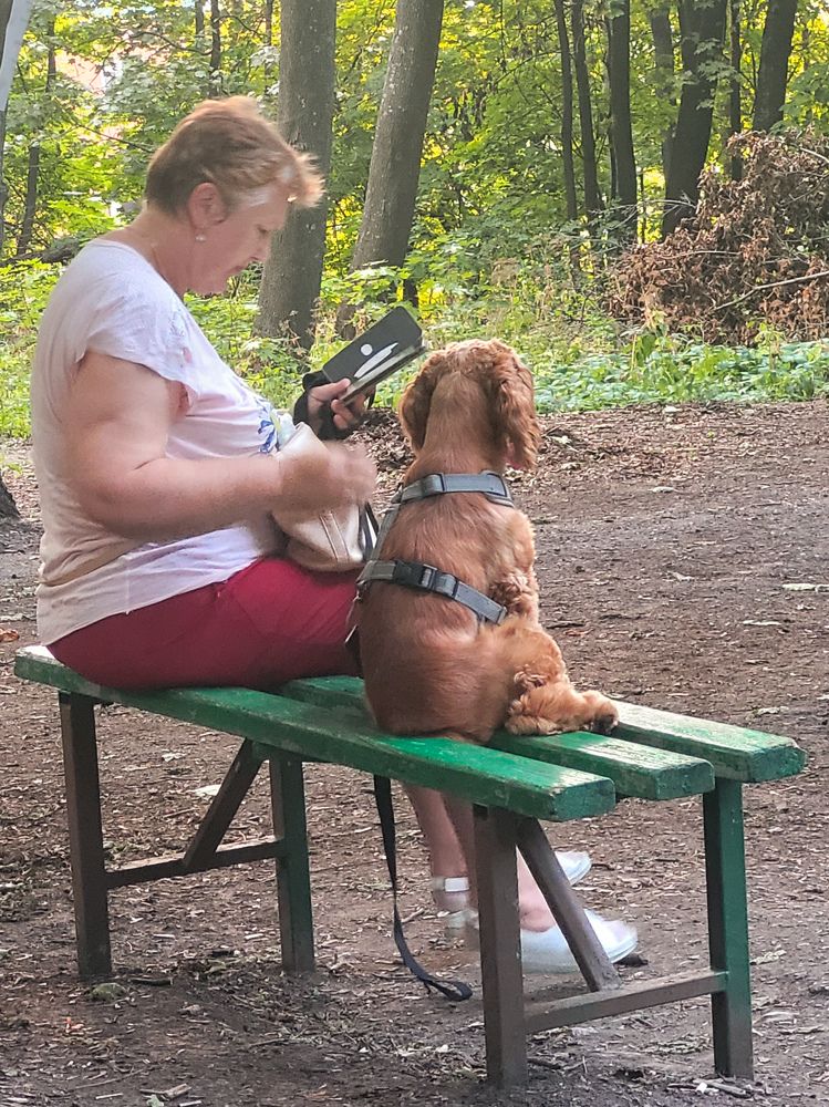 Photograph by Алла Никушкина