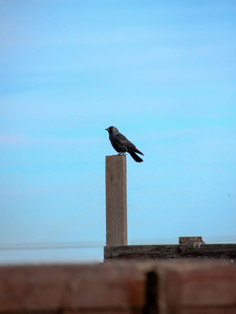 Photograph by Юлия Журавлёва