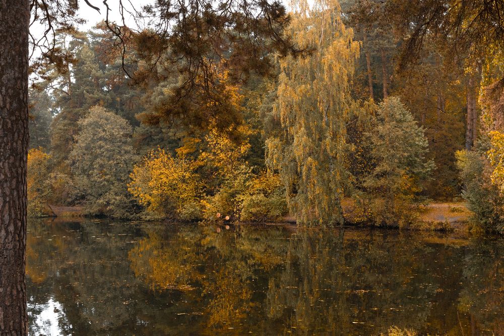 Photograph by Анна Авилочкина