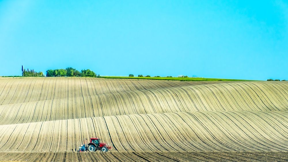 Photograph by Francisco José López Fernández