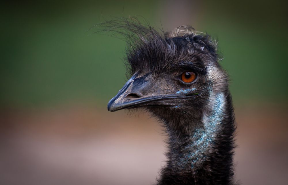 Photograph by Диана Бородзе