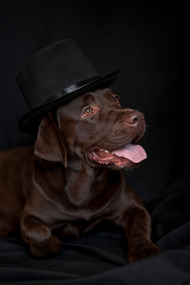 Photograph by Александра