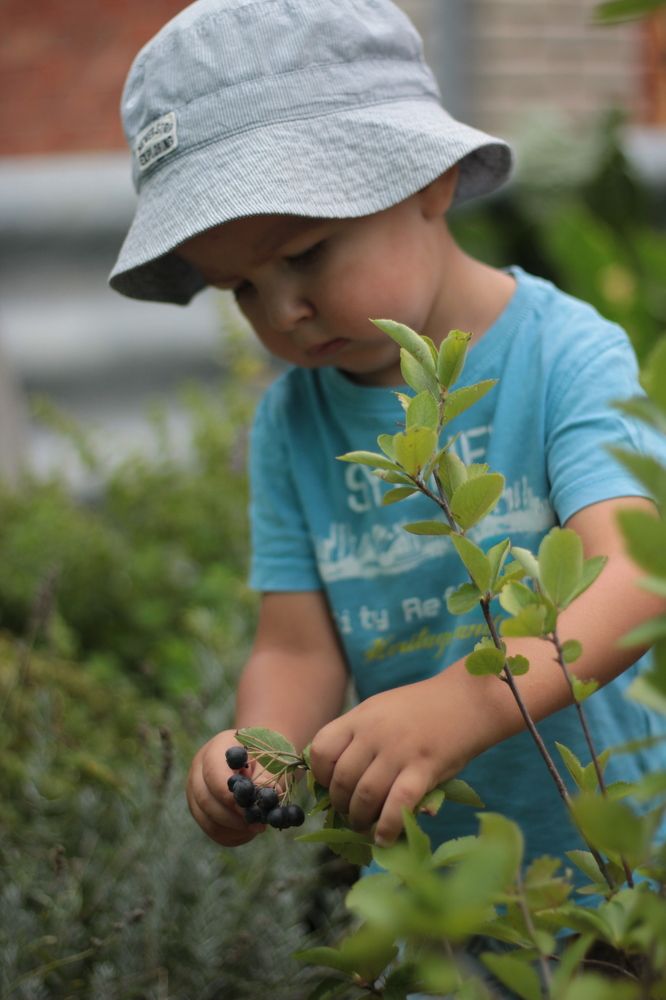 Photograph by Оксана Быковская