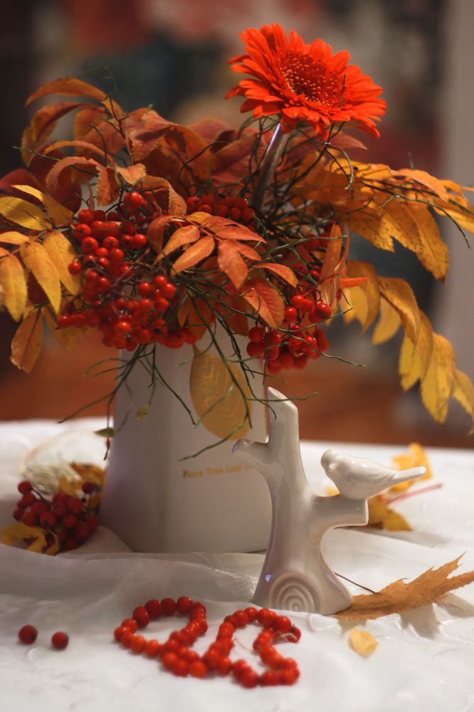 Фотография автора Елена Разина